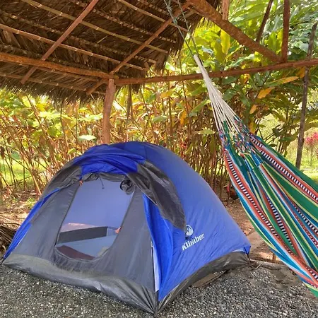 Popochos Beach Eco Lodge Nuquí Exterior photo