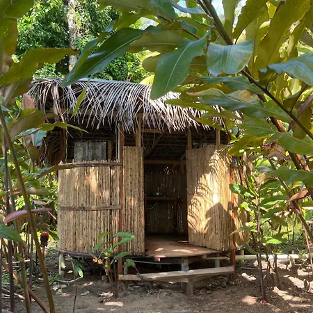 Popochos Beach Eco Lodge Nuquí Exterior photo