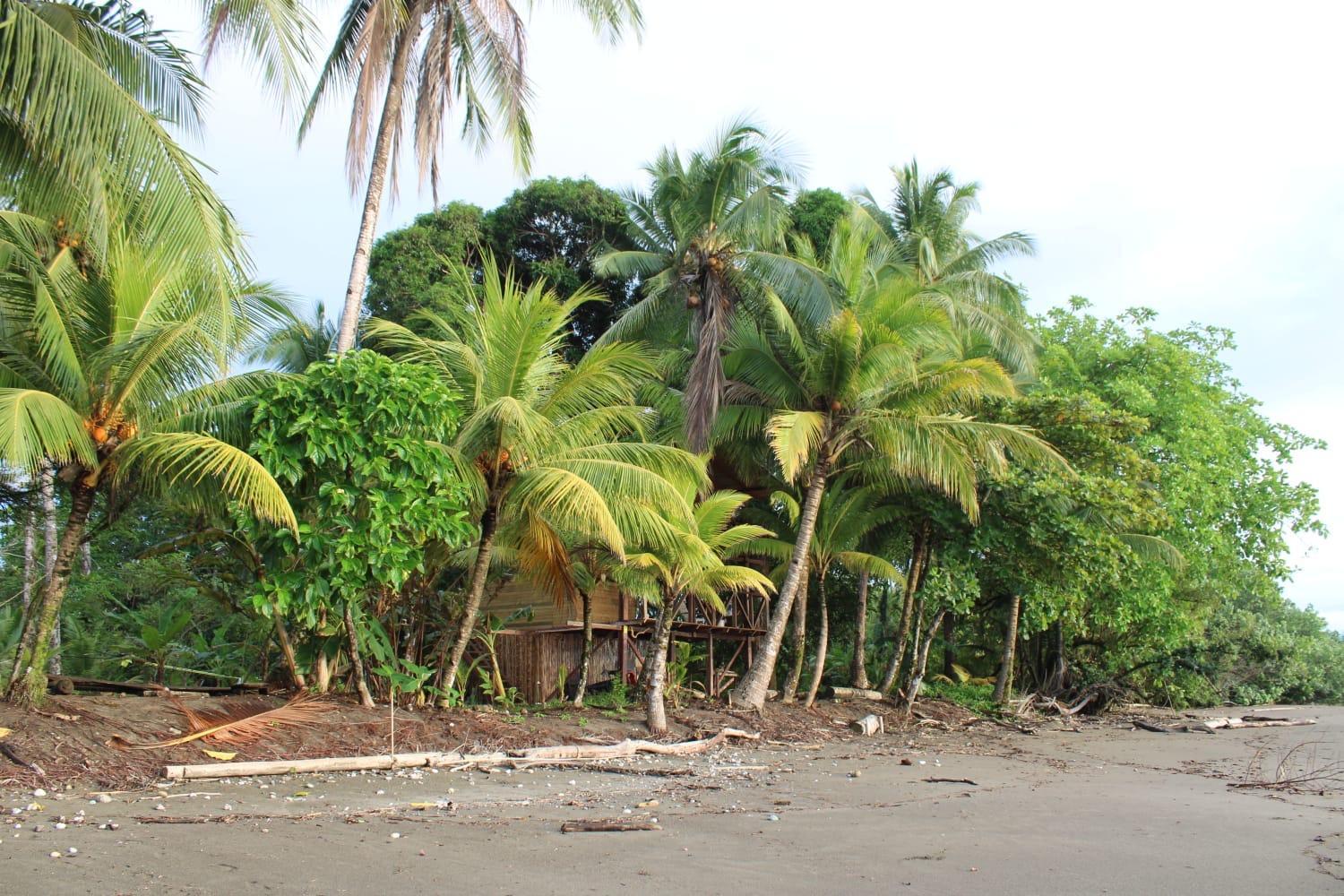 Popochos Eco